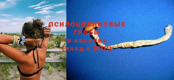 крисы Белоозёрский
