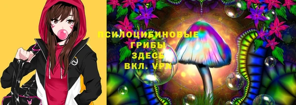 дмт Беломорск